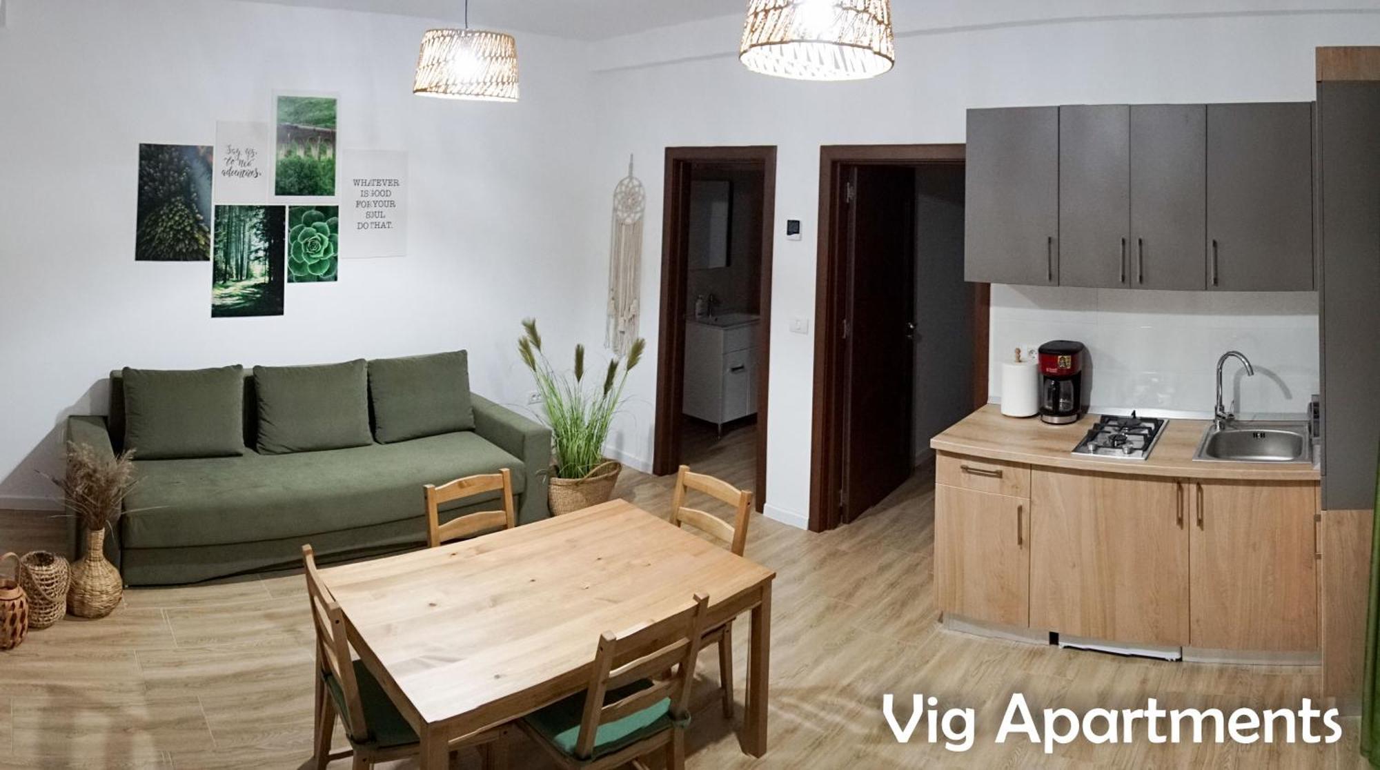 Vig Apartments Timisoara Ngoại thất bức ảnh