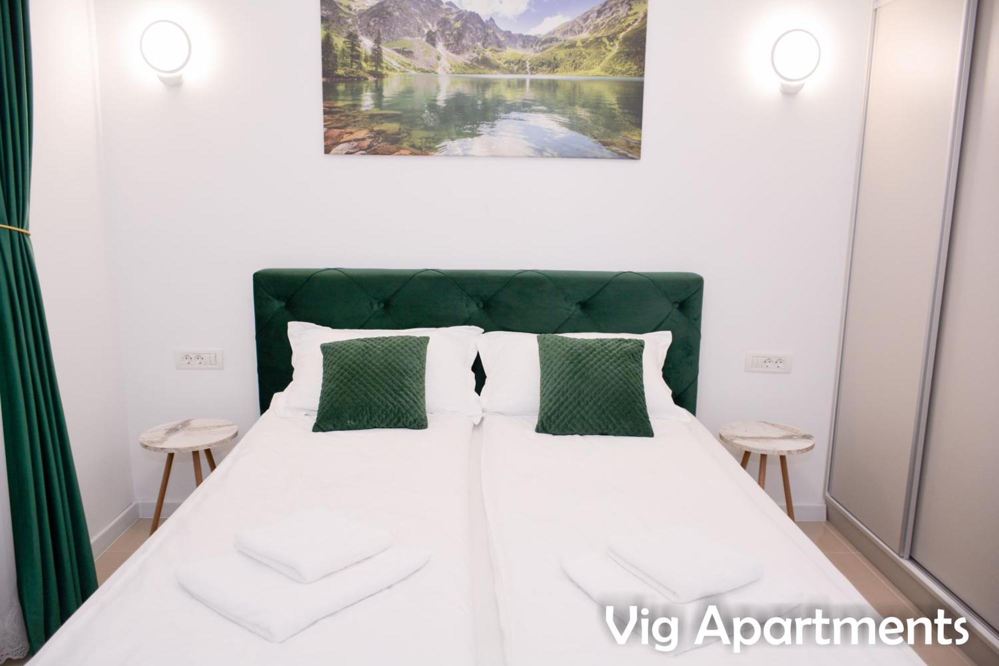 Vig Apartments Timisoara Ngoại thất bức ảnh