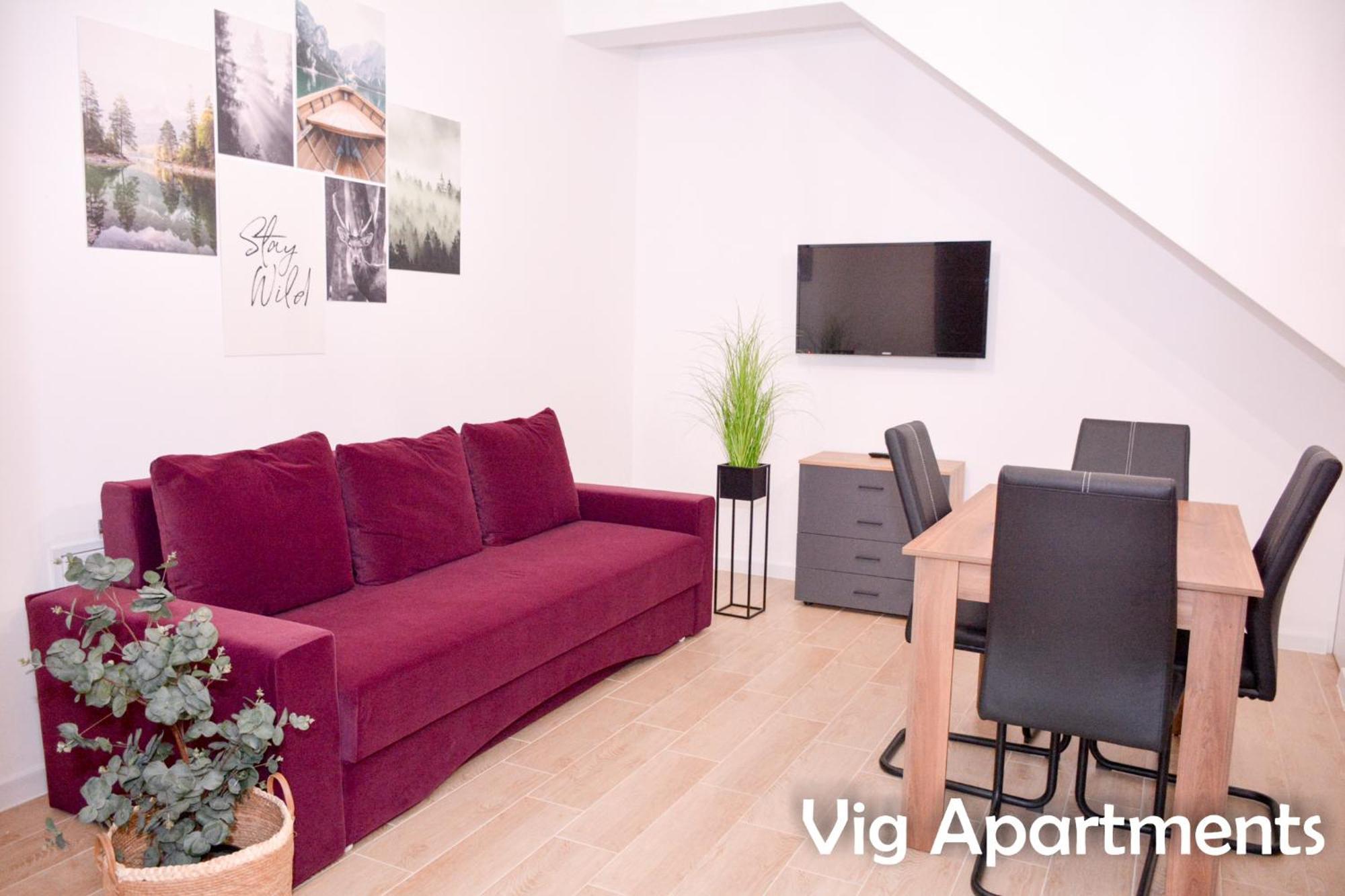 Vig Apartments Timisoara Ngoại thất bức ảnh